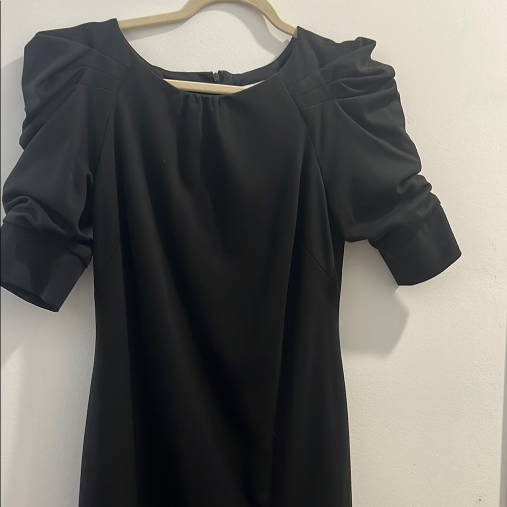 Elegant Black Puff Sleeve Dress